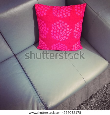 Leather sofa with bright red cushion. Modern furniture.