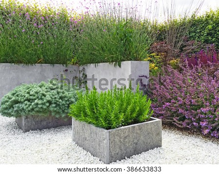 Beautiful garden with blooming plants, concrete and stone details. Contemporary design.