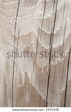 Wavy texture of silver gray cracked wood.