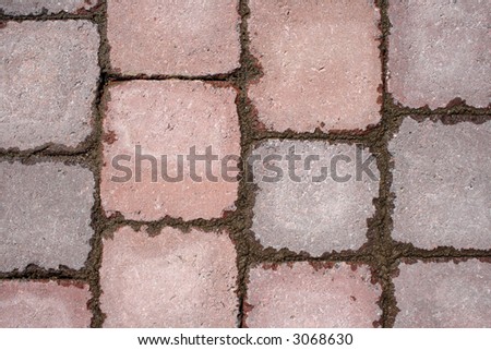 Texture of paving – stone tile pattern with wet cement after the rain.