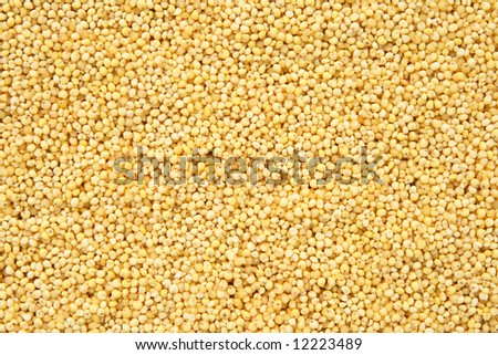 Millet background. Abstract food textures.