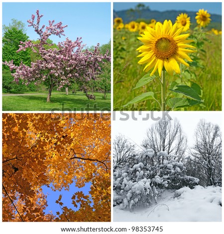 Four seasons. Spring, summer, autumn and winter landscapes.