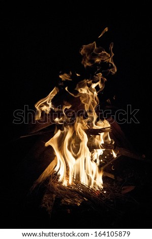 Campfire on a summer night