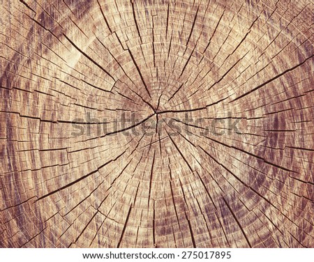 Wooden cut rexture, tree rings