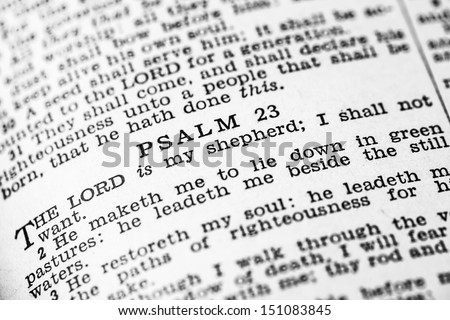 Psalm 23 in the Holy Bible