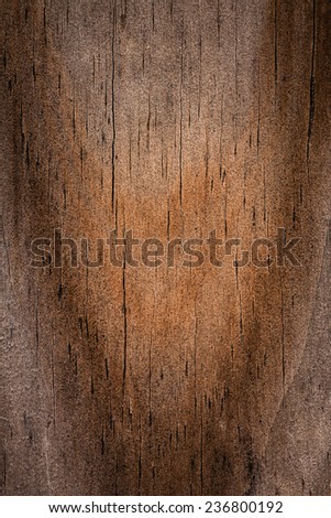 Closeup of a wood grain detail background with splits and swirl pattern