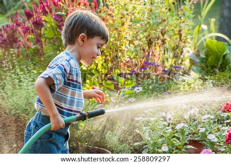 3 year old boy watering the garden with a hose in the summer