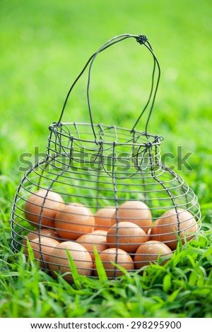 Basket of organic brown eggs from a Rhode Island Red hen in a vintage wire egg basket in the grass