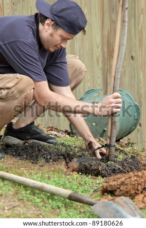 Man planting a tree in the yard