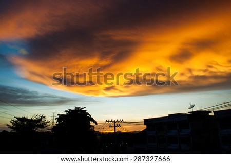 Gold clouds of satellite dishes natural tree light pole power li