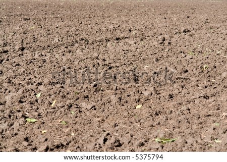 Arable land. The ploughed earth - it is good for background.