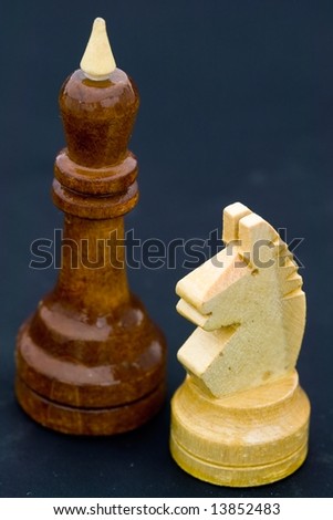 Chessmen. The king and knight on a black background.