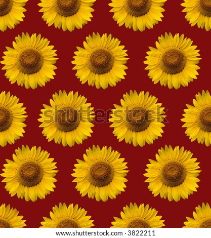 Red Sunflower Wallpaper. Red+sunflower+wallpaper