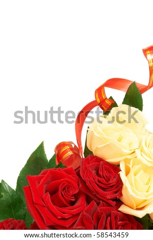 red and white roses background. red and white roses background. stock photo : Flower of red and white roses