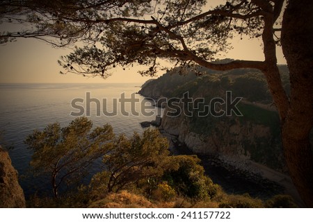 evening sea landscape with pine, instagram image style