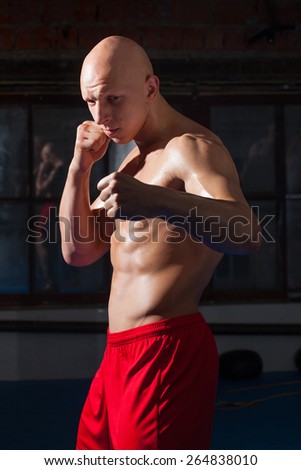 portrait of a fighter in fighting stance