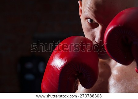 close up portrait of a boxer with red gloves