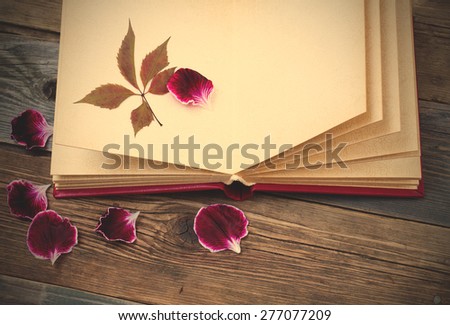 open book with herbarium leaves and petals of geraniums on the page. Still on the old wooden textured boards. instagram image filter retro style