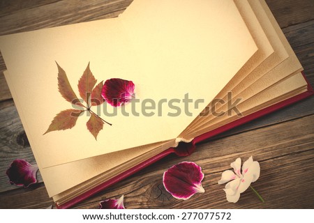 open book with herbarium leaves and petals of geraniums on the page. Still on the old wooden textured boards. instagram image filter retro style