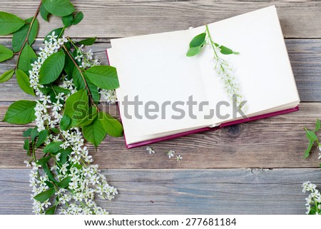 Blossoming bird-cherry and vintage open book on the aged  boards of the ancient table. Still life