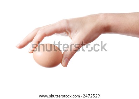 Egg in Hand, Finger, Tenderness, Frail, Shell, Calcium, Protein, Bird, Caution, Insulated, White, background, Brown, Care, Useful, Exquisite, Graceful, Food, Meal