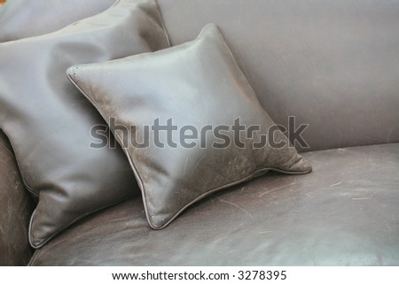 Detail of the Interior, Leather Pillows on Surfaces of the Sofa