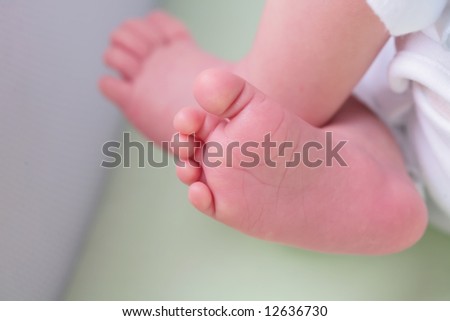small gentile rose foots infant, with copy-space
