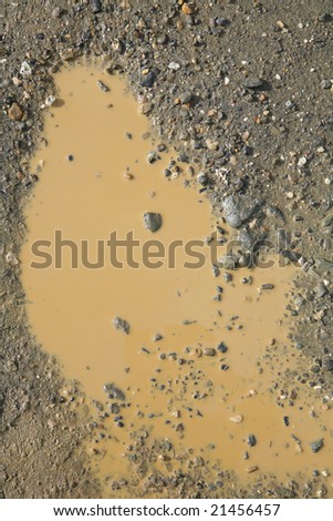 puddle with brown water on golden mine