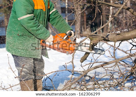 Lumberjack Worker with Chainsaw in work wear cutting tree branch