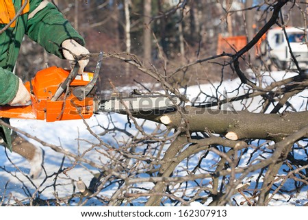 Lumberjack Worker with Chainsaw cutting tree branch
