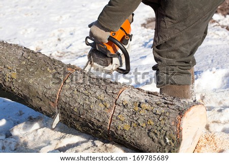 Lumberjack Worker with Chainsaw cutting tree