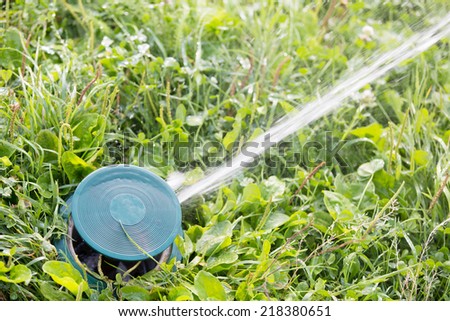 Close up of a sprinkler head watering green grass lawn