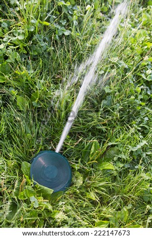 Irrigation system sprinkler head watering green grass lawn