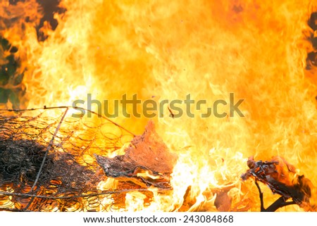 Arson or natural disaster - burning fire flame