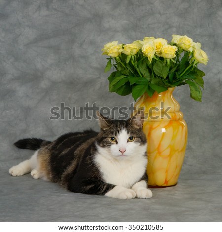 Cat lying next to marble vase with yellow roses and looking at camera. 
Grey marble background. (1x1)