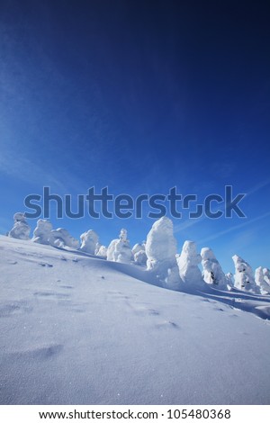 Snow monster on mount Zao, Yamagata Tohoku Japan