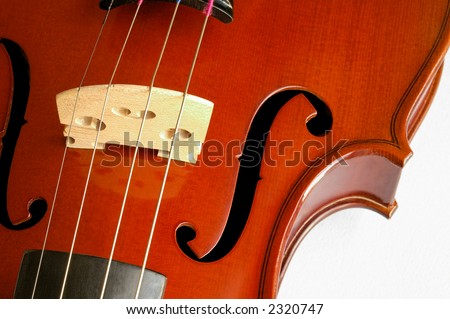 Musical instruments: violin closeup showing the bridge (10)