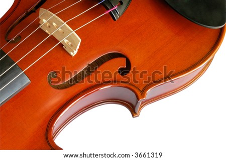 Musical instruments: violin closeup showing the bridge (11)