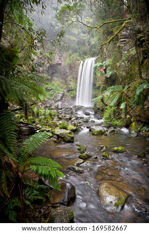 Hopetoun Falls in rainforest in the Great Otway National Park near the Great Ocean Road in Victoria, Australia