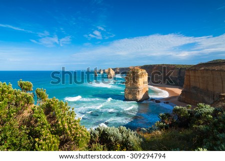 Morning light on the landmark Twelve Apostles along the Great Ocean Road in Victoria, Australia, with cliff-top coastal vegetation in the foreground
