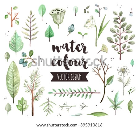 Premium quality watercolor icons set of various plant leaves, wild trees branch. Hand drawn realistic vector decoration with text lettering. Flat lay watercolor objects isolated on white background.