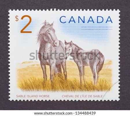 CANADA - CIRCA 2005: a postage stamp printed in Canada showing an image of two sable island horses, circa 2005