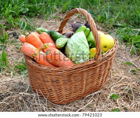 Carrots, cucumber, cabbage, pepper, apple lie in a basket on a grass