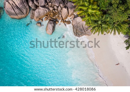 Tropical beach with sea and palm taken from drone. Beach drone photo. Beach and sea photo. Beach and palms. White sand beach. Romantic beach aerial shot.