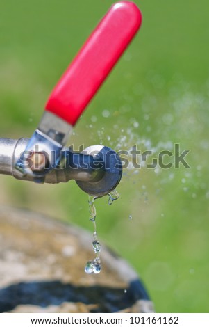 Watering grass in garden with spraying water tap