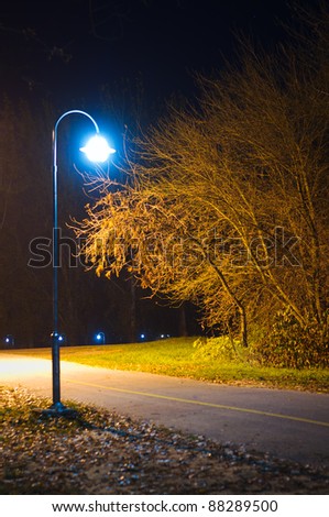 Lamp lighting up a path in empty park. Autumn night shot.