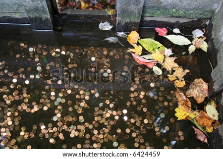 Coins, leaves and water in an old wooden trough