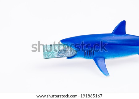 A close up of toy shark with money on the mouth: Loan shark concept