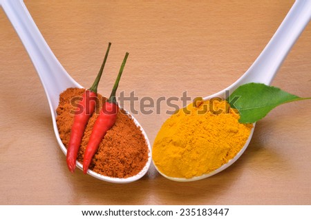 Chilli cayenne, chilli powder, curry powder and curry leaves