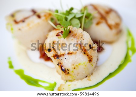 Grilled scallops on a white plate with garnish and sauces. Short depth of field.